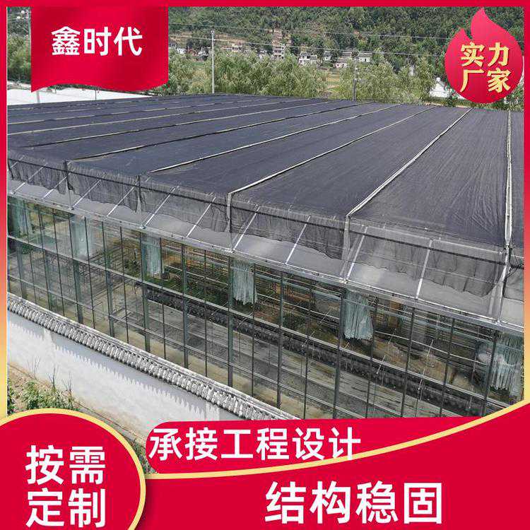 玻璃建设温室大棚 种植反季节作物，恒温抗寒 规格可定制 鑫时代